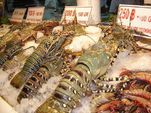 ���޴����r